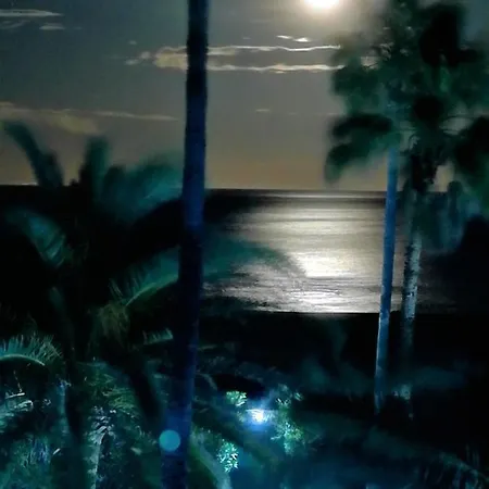 Mirando Al Mar